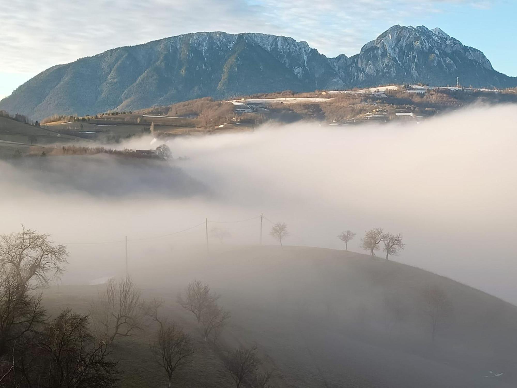 Casa Din Livada, Poiana Marului, Brasov Villa Eksteriør billede